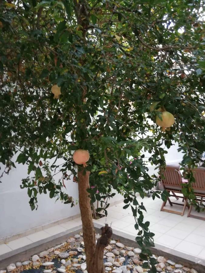 Pomegranate Apartment Kandiye Dış mekan fotoğraf